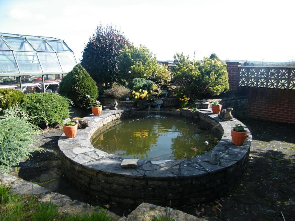Eastcote Luxury Guest House Clyst Saint Mary Esterno foto